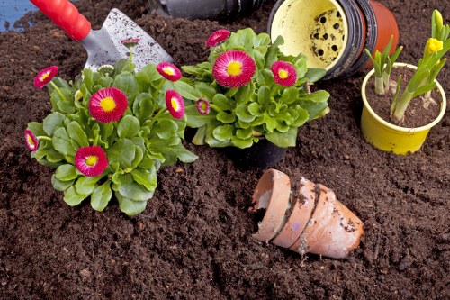 Soft landscaping work in a Newcross garden with planting and turf preparation