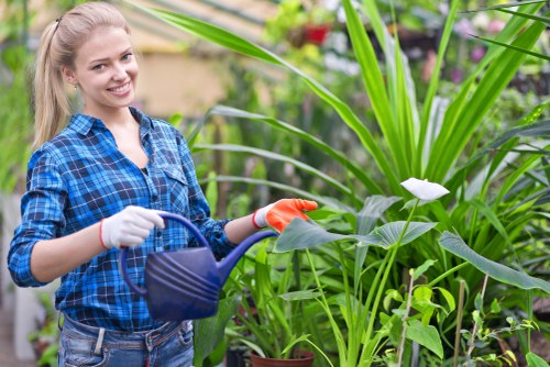 Customer complaint review during landscaping work