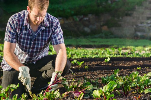Workers applying safe landscaping procedures on a managed site