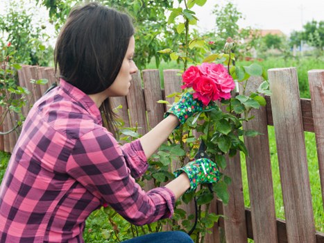 Customer making a safe online landscaping payment