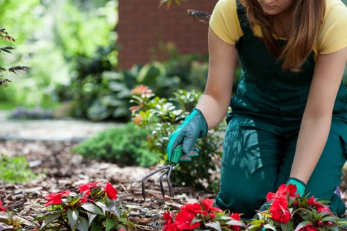 A local Newcross property benefiting from fresh borders and low-maintenance planting