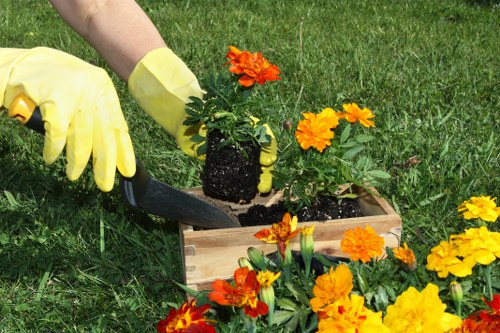 Reviewing landscaping concerns and project standards