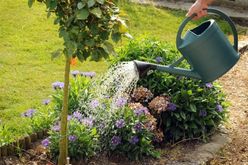 Policy review and safety compliance in landscaping operations