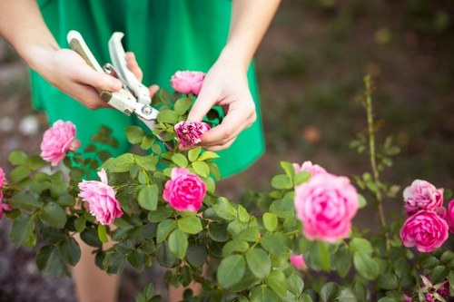Protected landscaping checkout with payment security icons