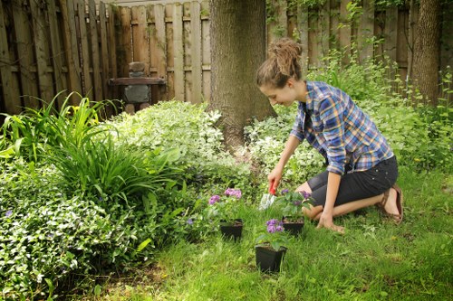 Layered planting and hard landscaping in a Newcross outdoor space
